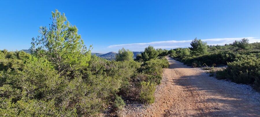 Calanques National Park: E-Mountain Bike with Virtual Guide - What happens if the forest closes