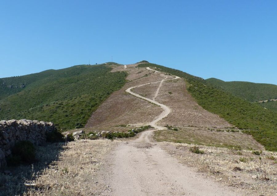 Calvi: Asco Valley 4x4 Day Tour with Guide - Key points to know before you book