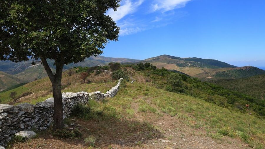 Calvi: Asco Valley 4x4 Day Tour with Guide - Riding toward Corsica’s Asco Valley