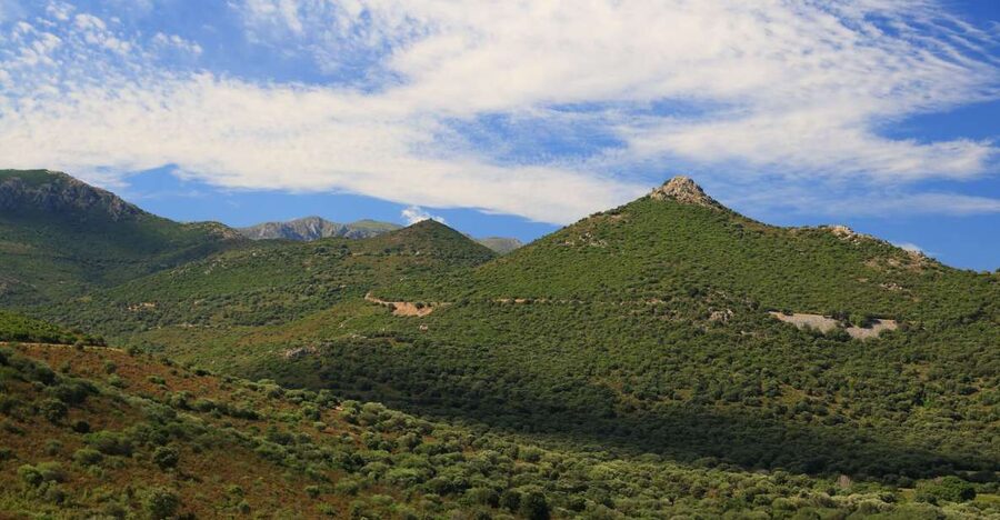 Calvi: Asco Valley 4x4 Day Tour with Guide - The Asco River swimming stop