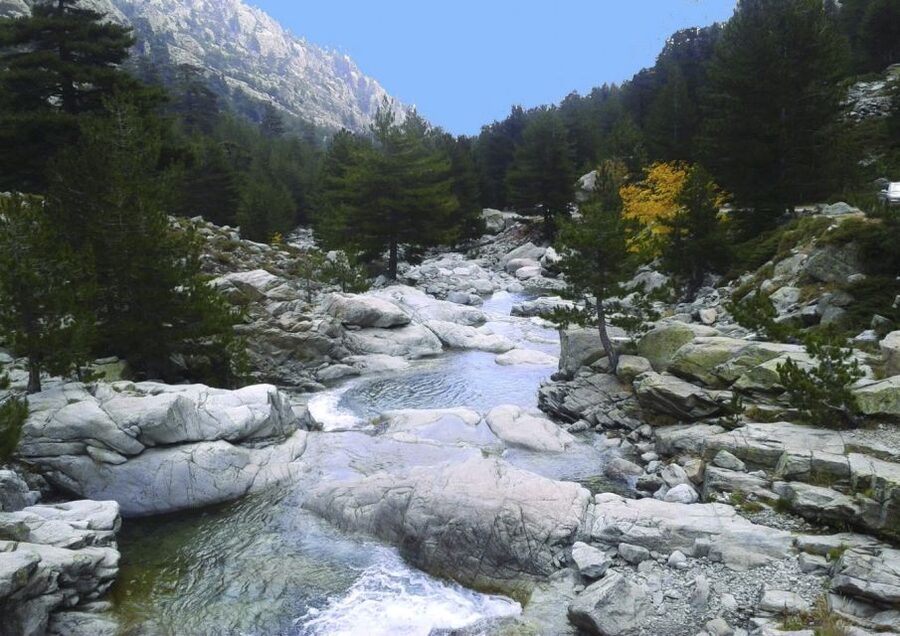 Calvi: Asco Valley 4x4 Day Tour with Guide - A local guide changes the day