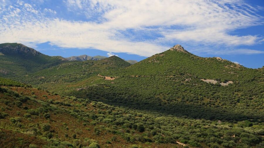 Calvi: Asco Valley 4x4 Day Tour with Guide - What to pack for the nine-hour outing