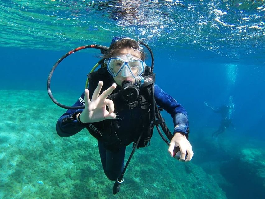 Calvi: Introduction to Diving Dive with an Instructor - Starting at Port de Plaisance in Calvi