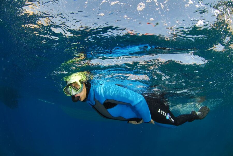 Calvi: Pointe de la Revellata Snorkeling Boat Tour - Marine life and the rocky coast