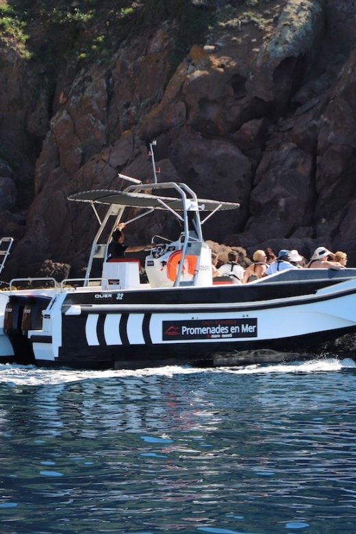 Calvi: Scandola and Girolata 6-Hour Boat Tour - Entering the UNESCO-listed Scandola reserve