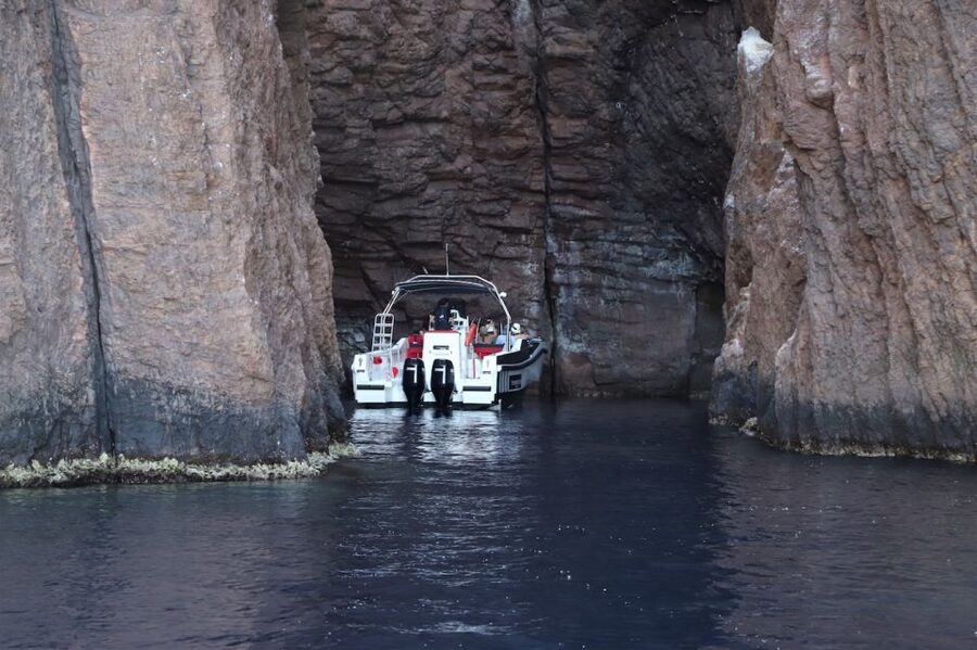 Calvi to Scandola: 4-Hour Boat Tour - Key points at a glance