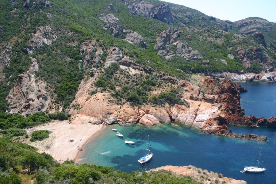Calvi to Scandola: 4-Hour Boat Tour - The Santa Regina and the value of 12 seats