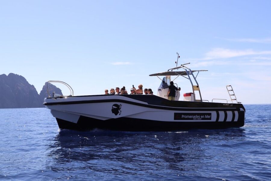 Calvi to Scandola: 4-Hour Boat Tour - Entering the reserve, cliffs, caves, and wildlife