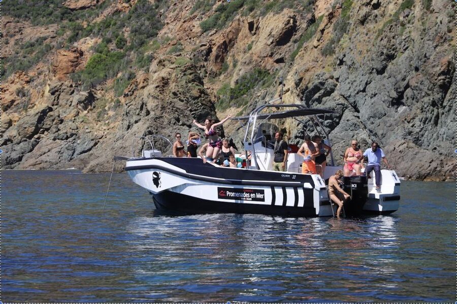 Calvi to Scandola: 4-Hour Boat Tour - The ride back, dolphins, and the Corsican aperitif