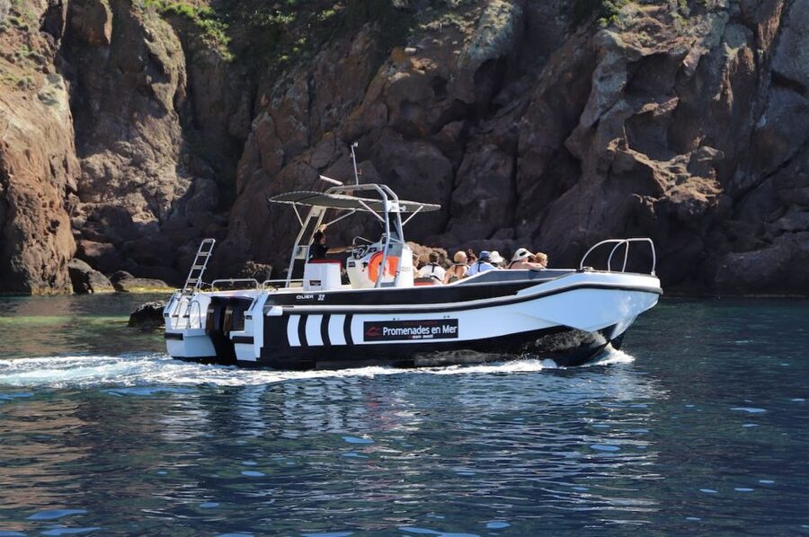 Calvi to Scandola: 4-Hour Boat Tour - Sea conditions, comfort, and who should skip it