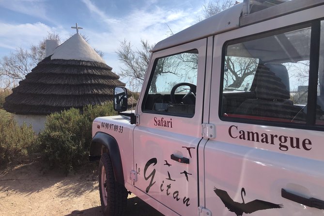 Camargue 4x4 Safari 2 hours Saintes Maries de la Mer - What this Saintes-Maries-de-la-Mer safari actually offers