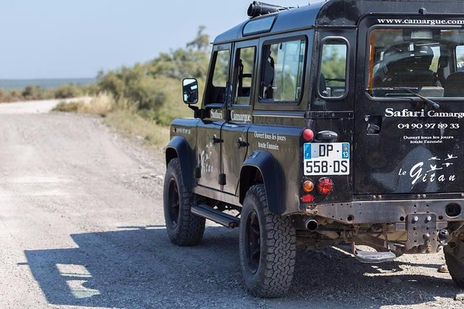 Camargue 4x4 Safari 2 hours Saintes Maries de la Mer - Flamingos, herons, and the best chance for birdwatching