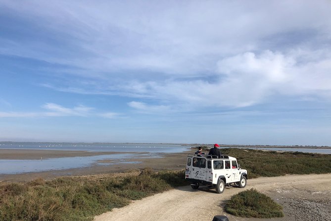 Camargue 4x4 Safari 2 hours Saintes Maries de la Mer - The practical side: meeting point, parking, and timing