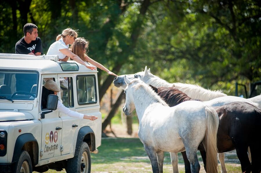Camargue: Half-Day 4x4 Guided Safari Adventure - Why a 4x4 makes sense in the Camargue