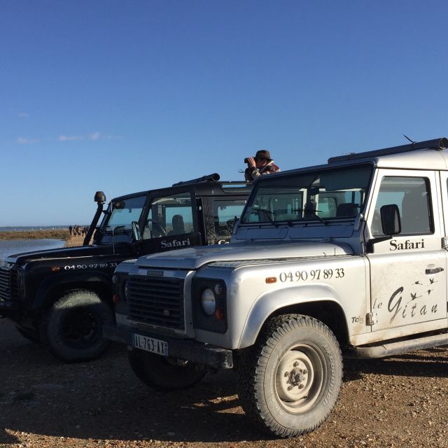 Camargue: Safari from Saintes-Maries-de-la-Mer - The guide can make or break the morning