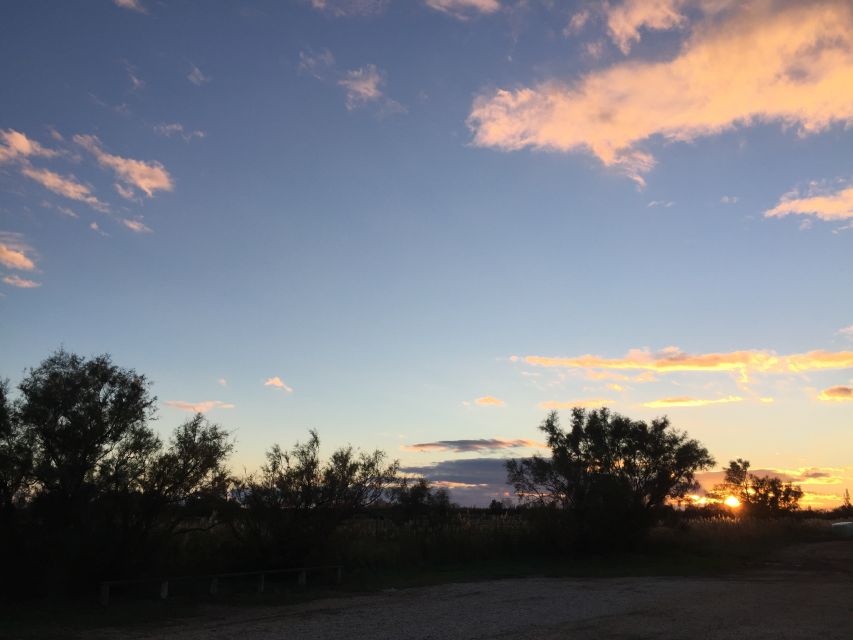 Camargue: Safari from Saintes-Maries-de-la-Mer - How the price compares with the experience