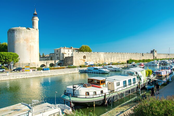 Camargue Small-Group Day Trip from Avignon - Guides, group size, and the feel of the day