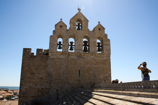 Camargue Small-Group Day Trip from Avignon - What to bring and how to plan the day