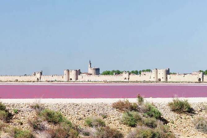 Camargue Small-Group Day Trip from Avignon - Who should book this nine-hour Camargue outing