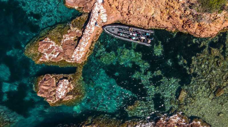 Cannes: 2.5-Hour Esterel Calanques Boat Excursion - From Cannes to the red rocks of Estérel