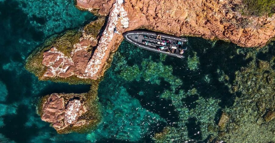 Cannes: 2.5-Hour Esterel Calanques Boat Excursion - Coves, caves, and natural pools