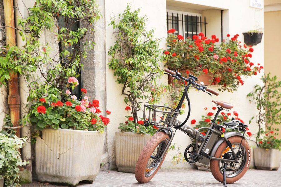 Cannes 2-Hour E-bike Tour - The viewpoints are the tour’s best payoff