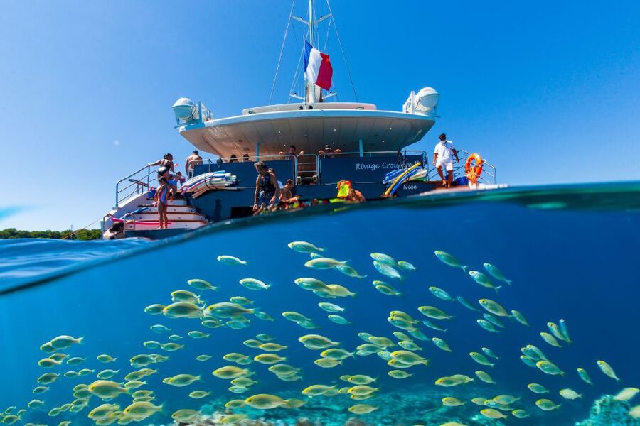 Cannes: Half-Day Catamaran Cruise - From Cannes Old Port to Sainte-Marguerite Island