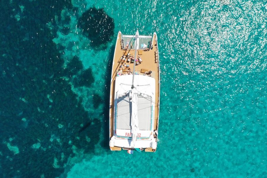 Cannes: Half-Day Catamaran Cruise - The swimming stop near the Lérins Islands or Esterel coast