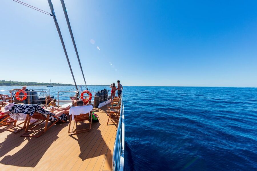 Cannes: Half-Day Catamaran Cruise with Lunch - Key points to know before booking