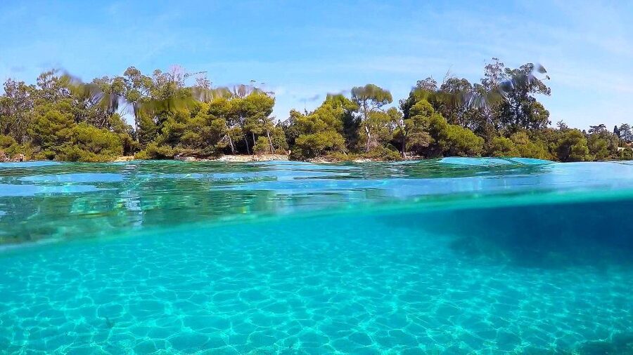 Cannes: Private Boat Trip to Lerins Islands & Cap d'Antibes - Swimming, snorkeling, and the underwater head sculptures