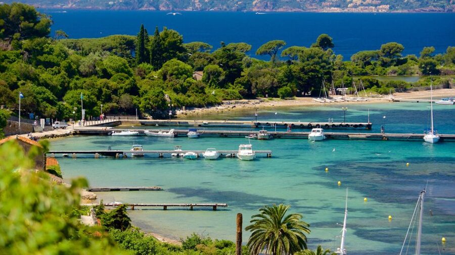 Cannes: Private Boat Trip to Lerins Islands & Cap d'Antibes - Seeing Cap dAntibes from the water