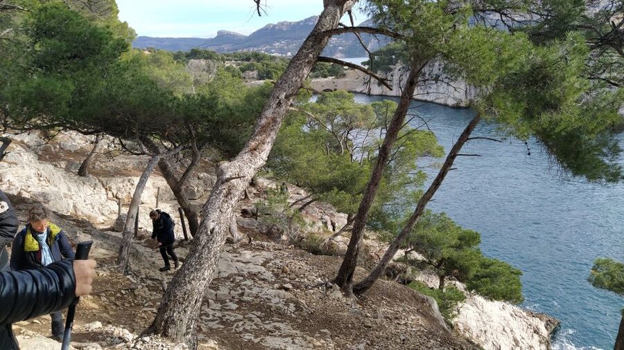 Cassis: 3 Calanques Half-Day Hiking Tour with Swimming - Who will enjoy this route most