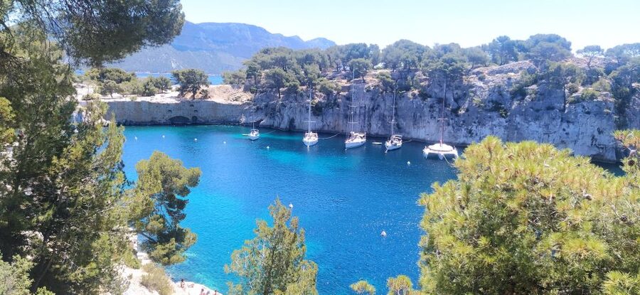 Cassis: 3 Calanques Half-Day Hiking Tour with Swimming - What the guide adds to the experience