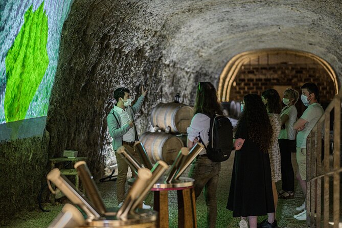 Caves Ambacia, Tour and Wine Tasting in Amboise, Loire Valley - Why the price offers solid value