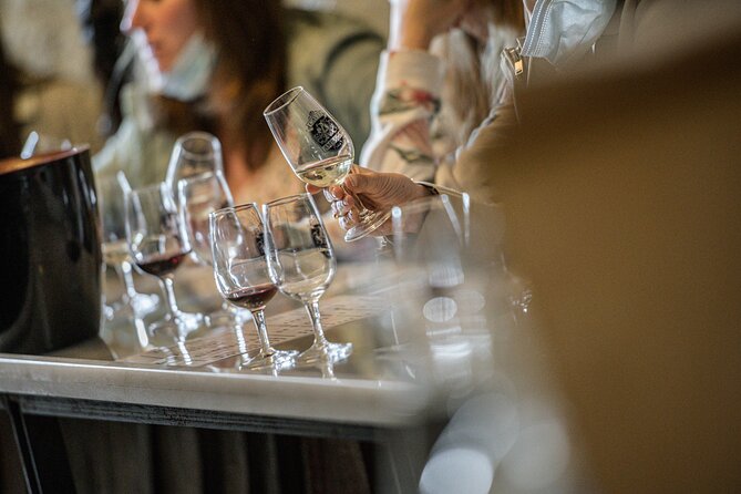 Caves Ambacia, Tour and Wine Tasting in Amboise, Loire Valley - Planning your Amboise afternoon