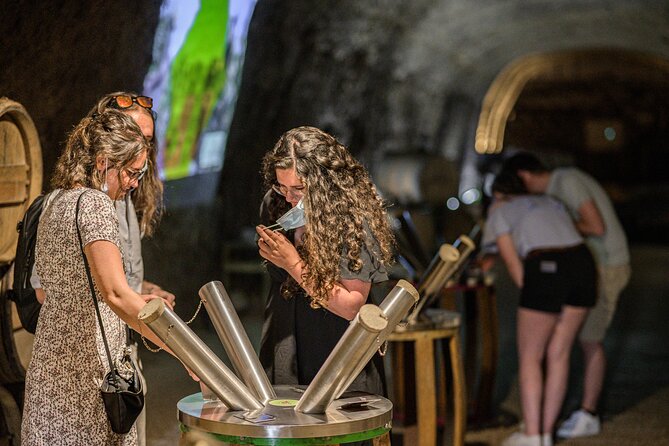 Caves Ambacia, Tour and Wine Tasting in Amboise, Loire Valley - Who will enjoy Caves Ambacia most