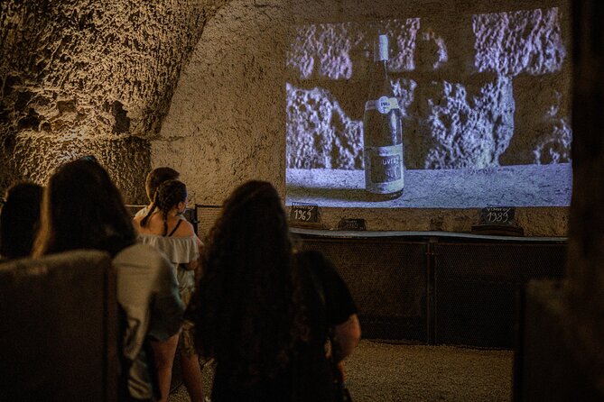 Caves Ambacia, Tour and Wine Tasting in Amboise, Loire Valley - Should you book Caves Ambacia?