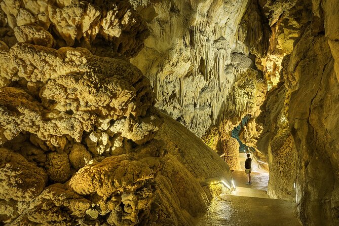 CAVES of CERDON and Prehistoric Leisure Park - Entrance ticket - The prehistoric park adds more than extra time
