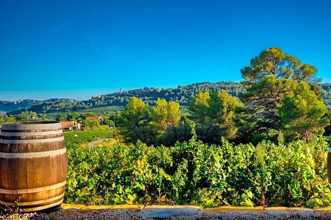 Cellar Visit & Bandol Wine Tasting (in French) - What the small group changes