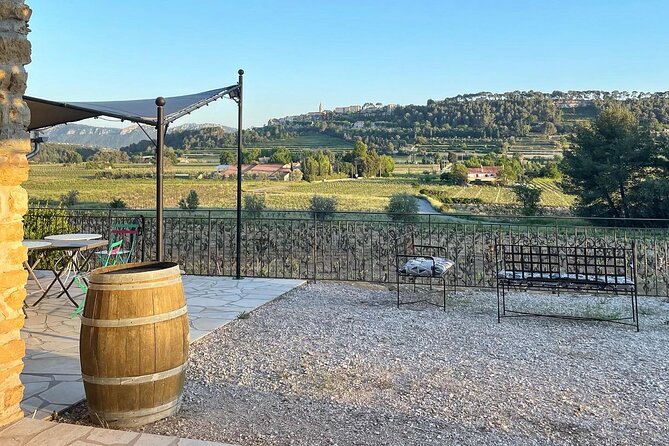 Cellar Visit & Bandol Wine Tasting (in French) - Who will get the most from this experience