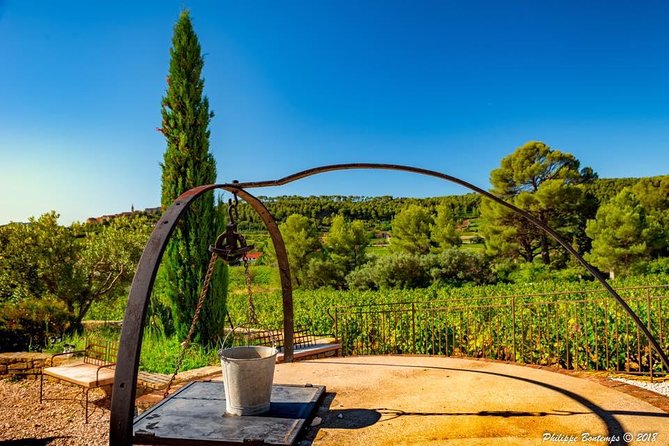 Cellar Visit & Bandol Wine Tasting (in French) - The first 30 minutes: following the wine through the cellar