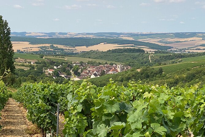 Chablis and Burgundy Wine Tour Run by Sommelier with Lunch - Chablis village and the first tasting