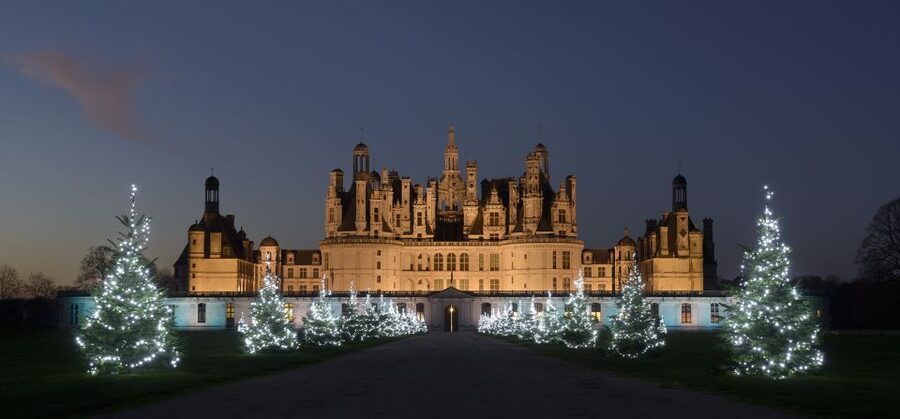 Chambord: Entry Ticket to the Castle - Use the film and visitor guide to make sense of the building