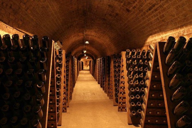 Champagne and Reims Tasting Day Trip from Paris - Meeting a family producer