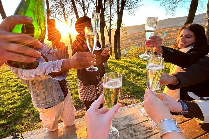 Champagne and Reims Tasting Day Trip from Paris - Reims Cathedral and French royal history