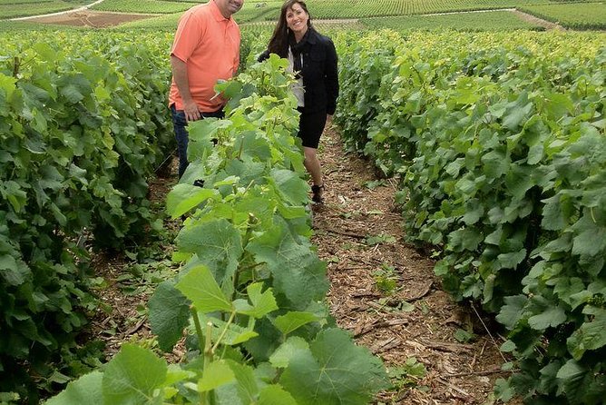 Champagne Area Small-Group Tour including a Top Champagne house & Family Winery - Why this Champagne day trip works from Paris
