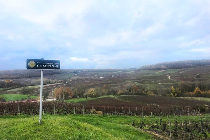 Champagne Area Small-Group Tour including a Top Champagne house & Family Winery - Reims, cathedral time, and changing routes