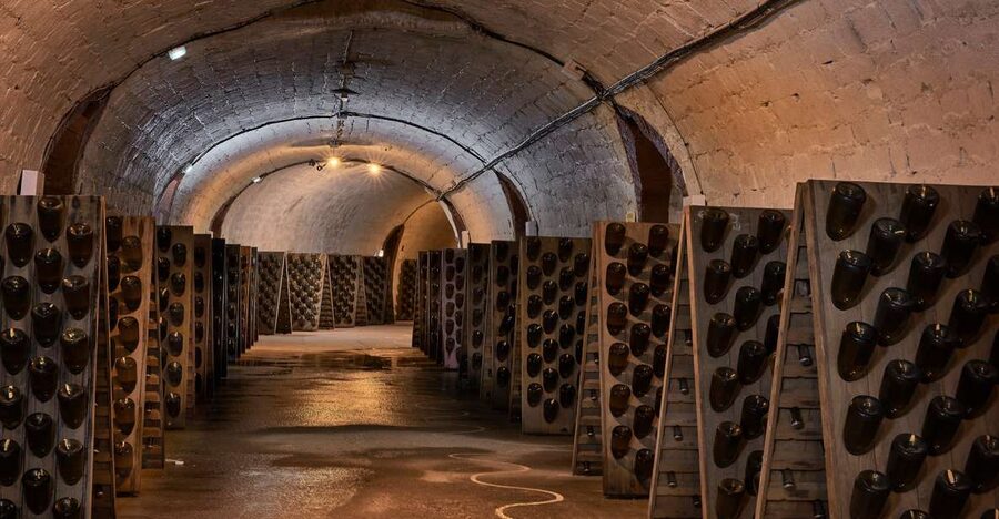 Champagne: Canard-Duchêne Champagne House Tour - The vineyards make the wine easier to understand