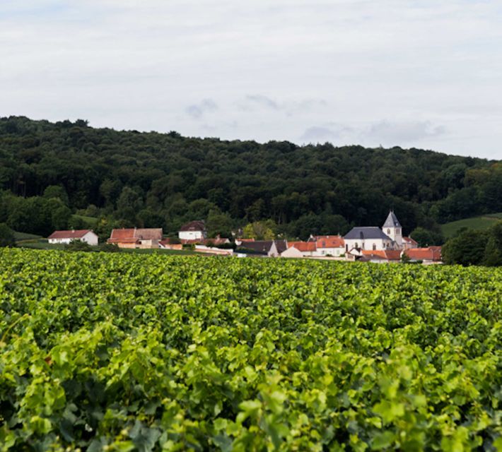 Champagne: Canard-Duchêne Champagne House Tour - Who should book this experience?