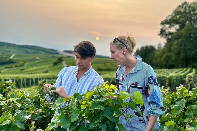 Champagne Day Trip from Paris with 8 Tastings & Lunch - Key points at a glance